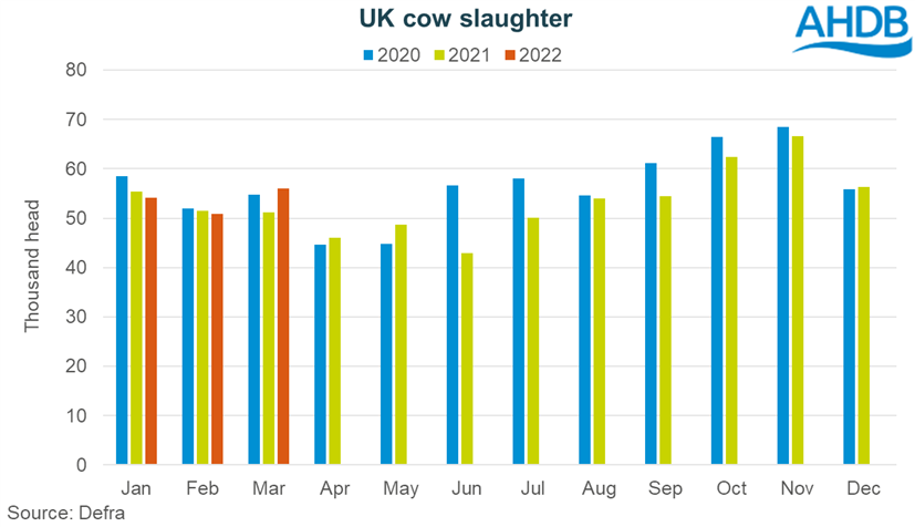 Graph showing monthly UK cow kill January to March 2022